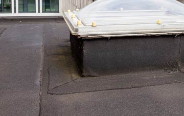 disadvantages of Holwellbury flat roofs