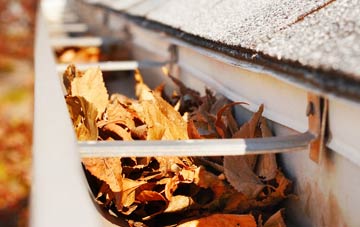 Holwellbury gutter cleaning companies